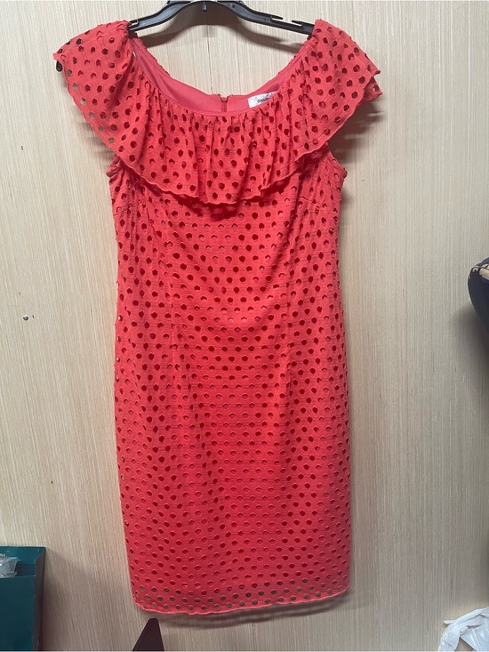 dressbarn Dresses & Skirts - Dressbarn eyelet Dress, ruffle collar size 8, knee length , good condition